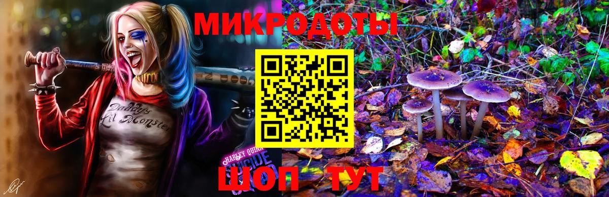 Псилоцибиновые грибы MAGIC MUSHROOMS Советская Гавань