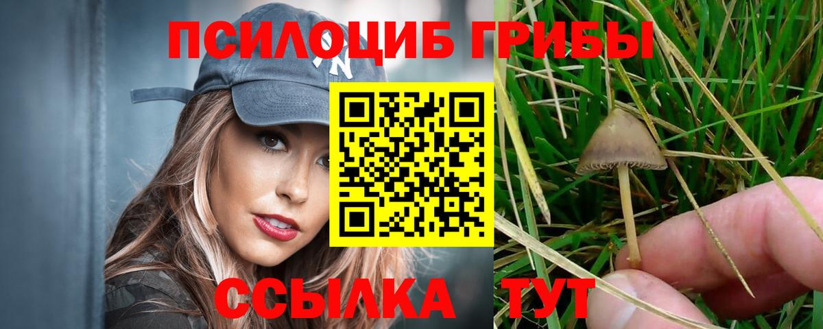 закладка  Галлюциногенные грибы ЛСД  Галлюциногенные грибы GOLDEN TEACHER  Вход с VPN  Советская Гавань 